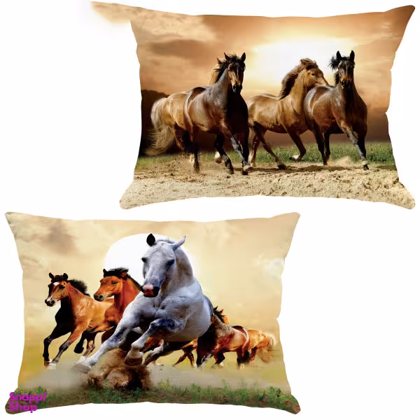 کوسن مدل R21-10051-852 مجموعه 2 عددی چند رنگ