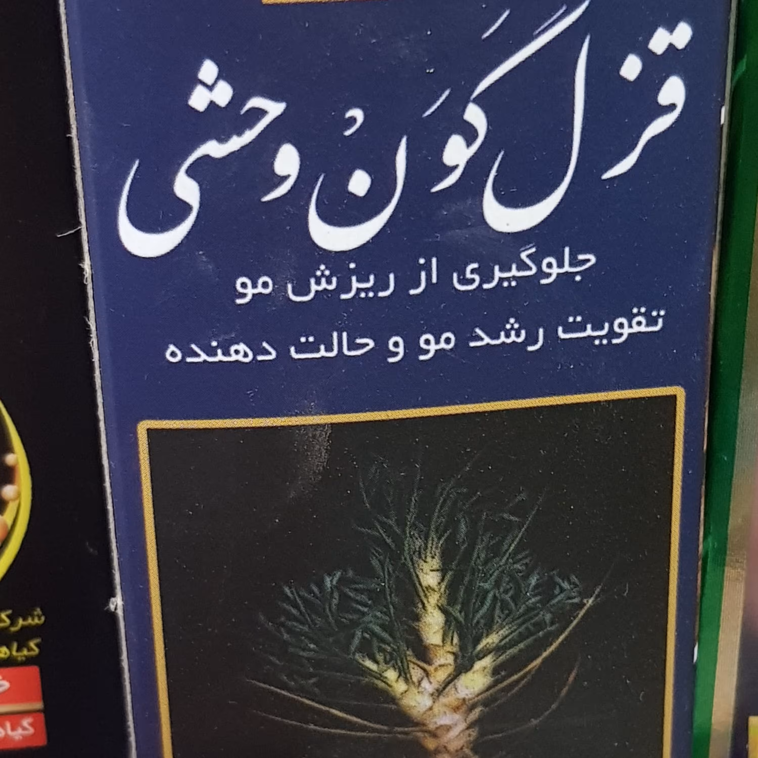 قزل گون وحشی 