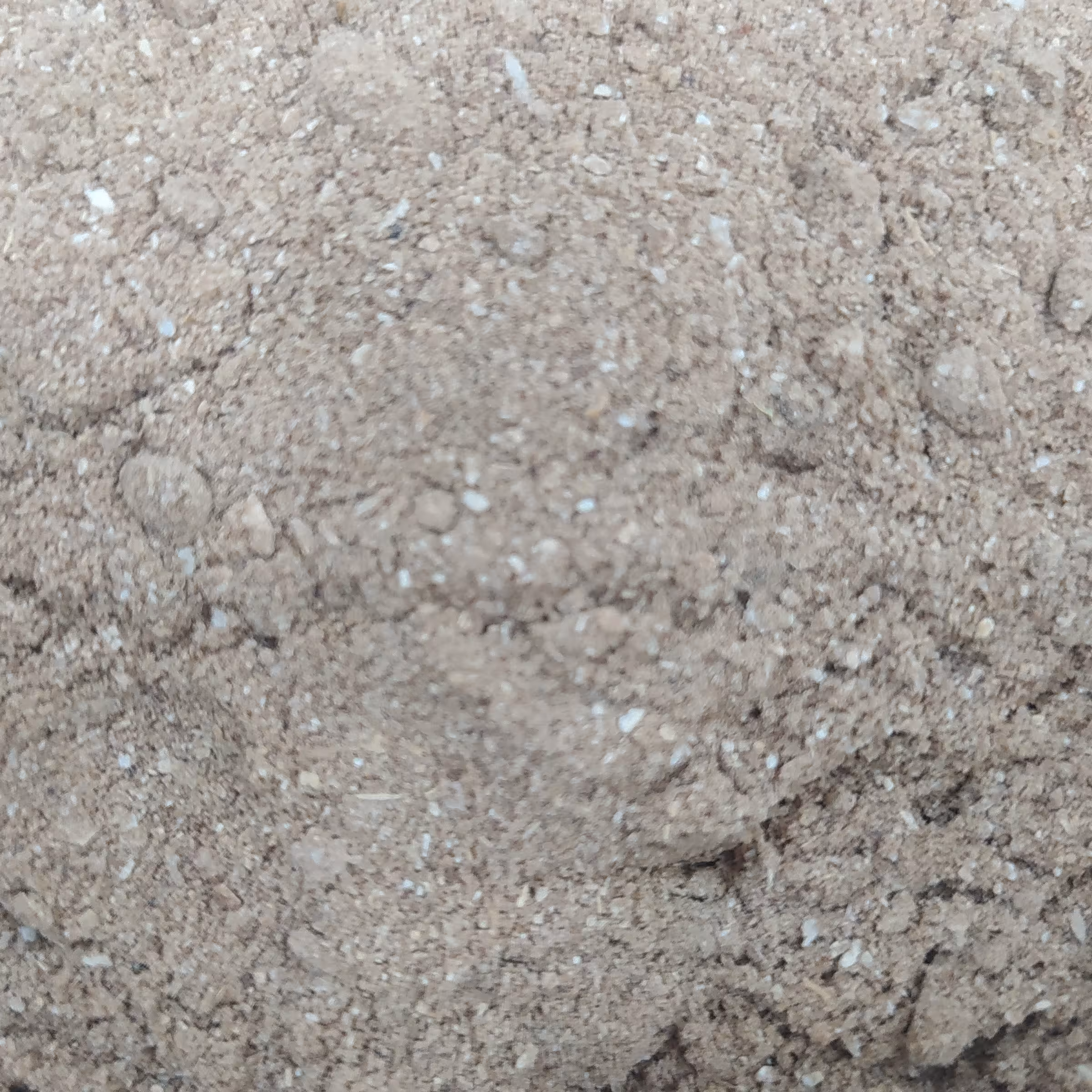 پودر لیمو اعلاء از بهترین کیفیت  لیمو جهرم 