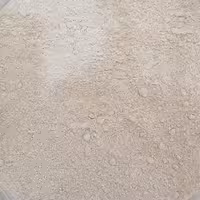 پودر جوانه گندم