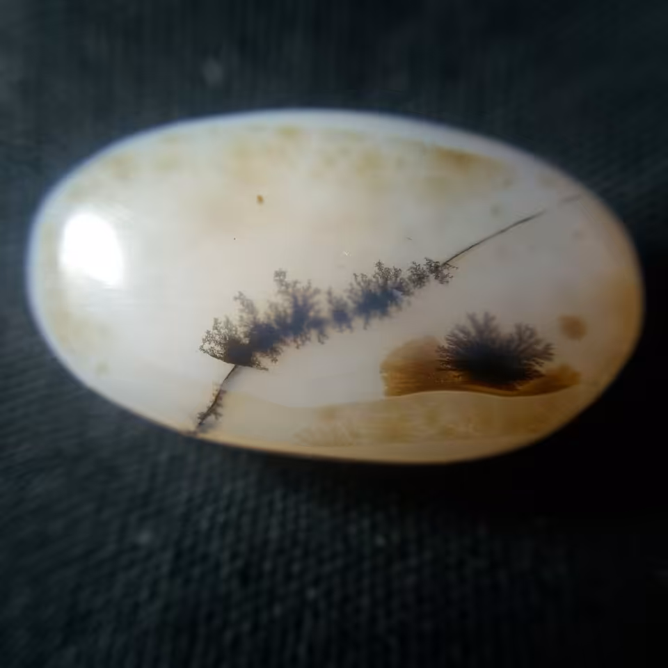 نگین شجر قائن منظره ای بی نظیر طبیعی و بدون بهسازی