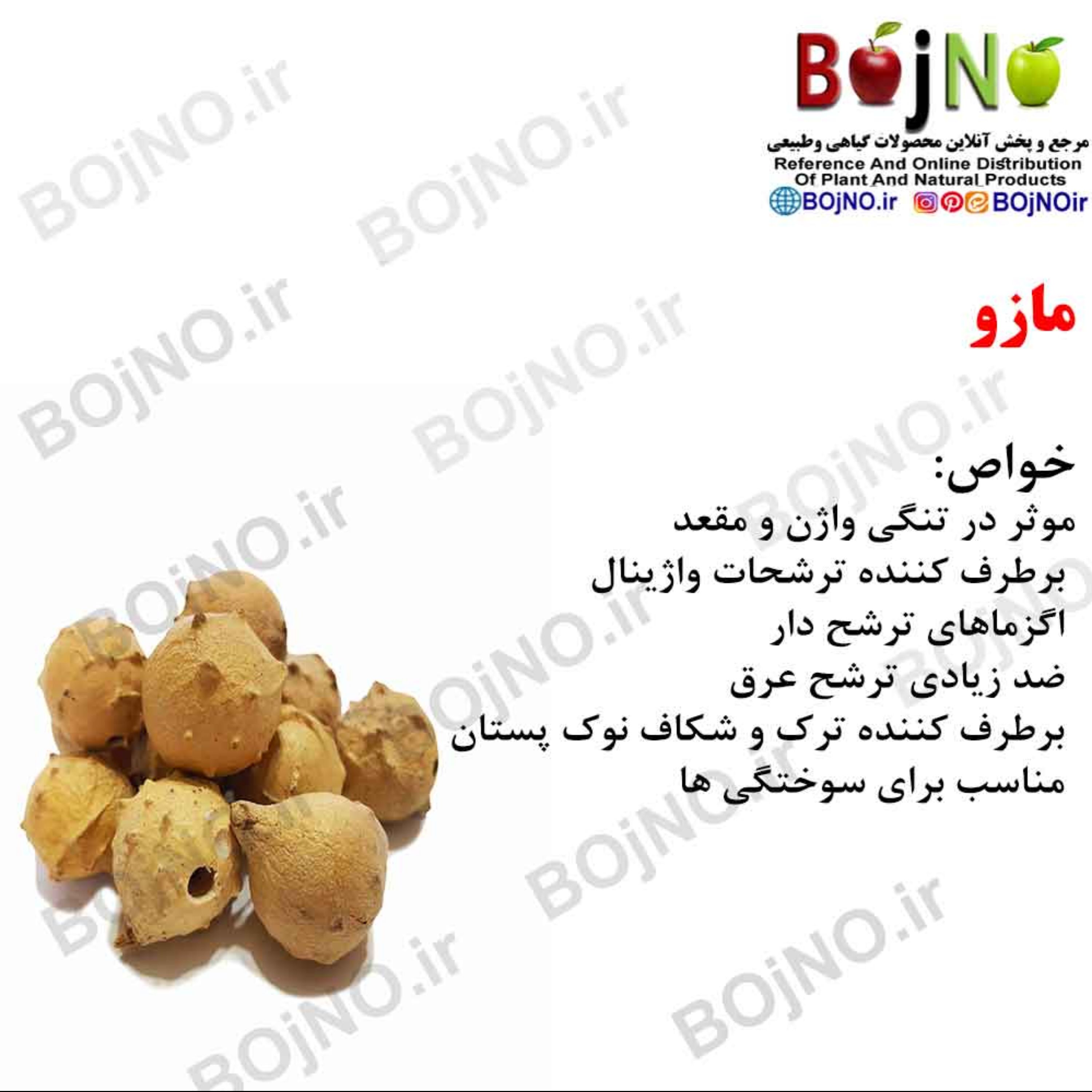 مازو (بسته 50گرمی)