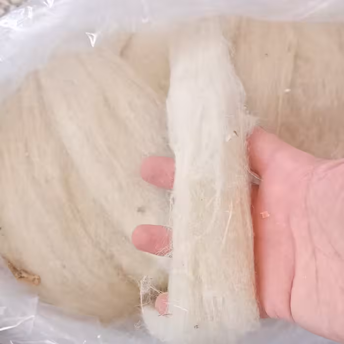 پشم تاپس شسته حلاج شده قرقره ای مناسب ریسیدن و  تهیه لحاف و تشک آماده استفاده 