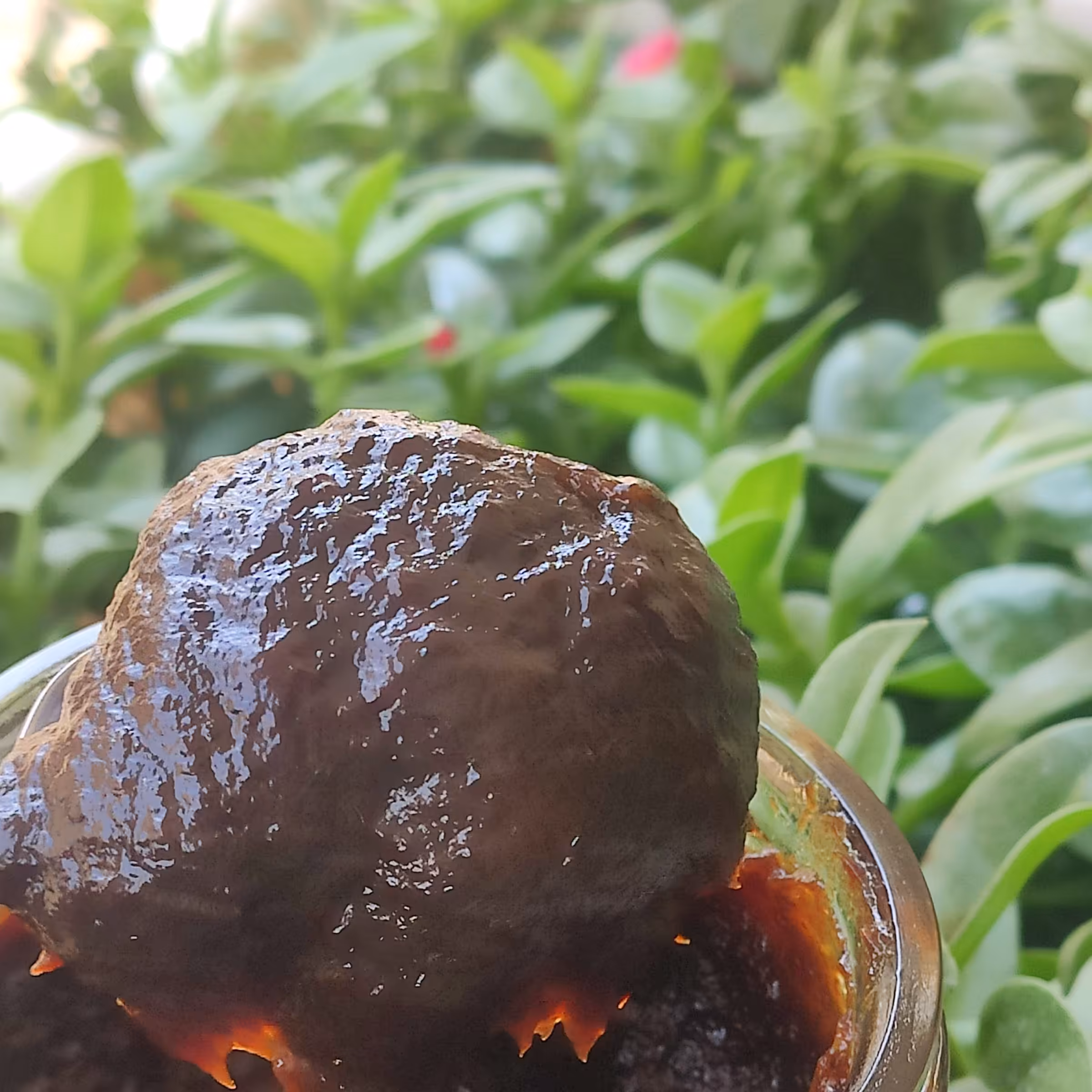 رب آلوچه ملس