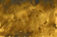 تکسچر طلایی 02 | گرافیک با طعم تربچه