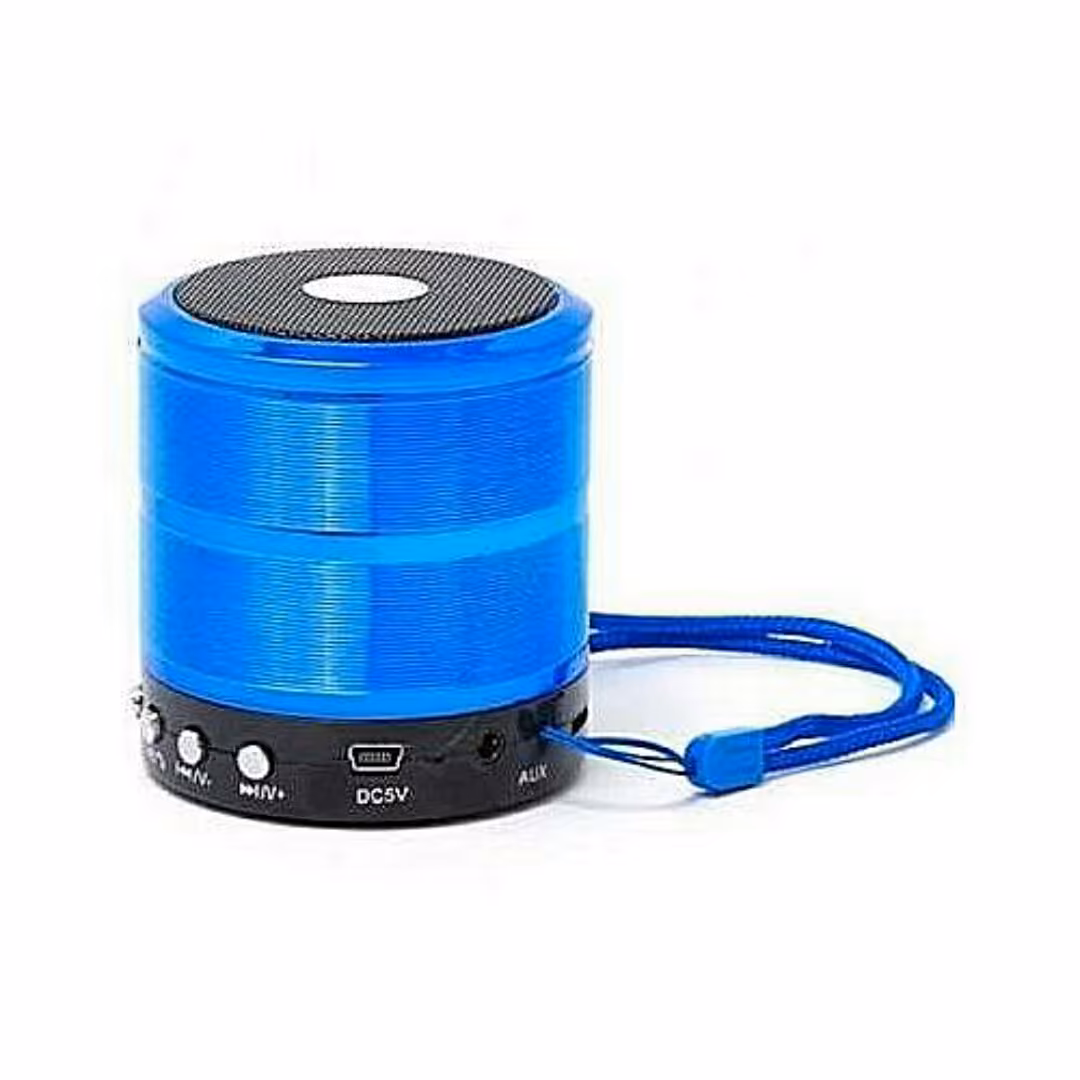 اسپیکر  وستر WS-887