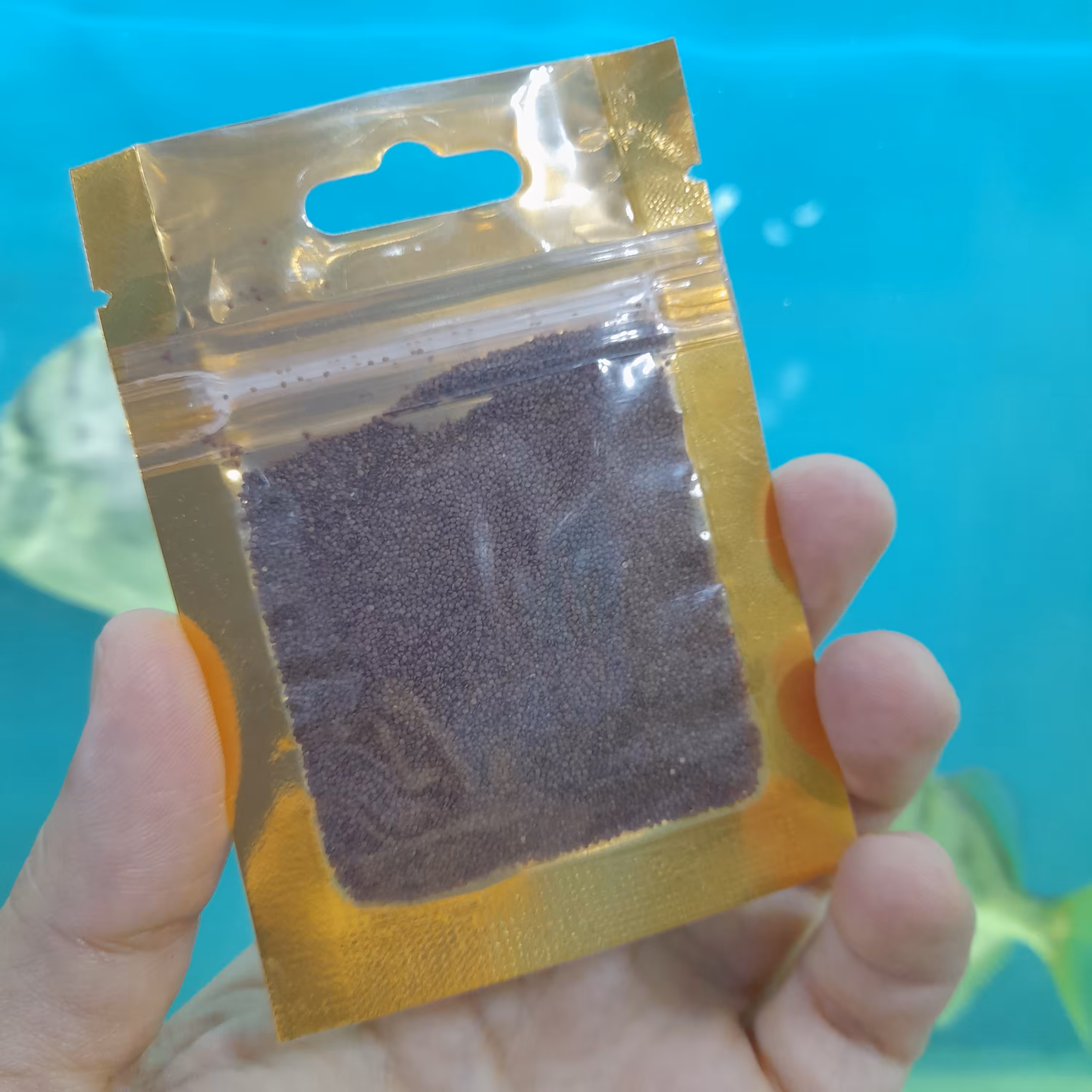 بذر چمن آبزی مونت کارلو آکواریوم (تست شده رشد حتمی)