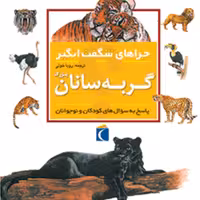 چراهای شگفت انگیز گربه سانان