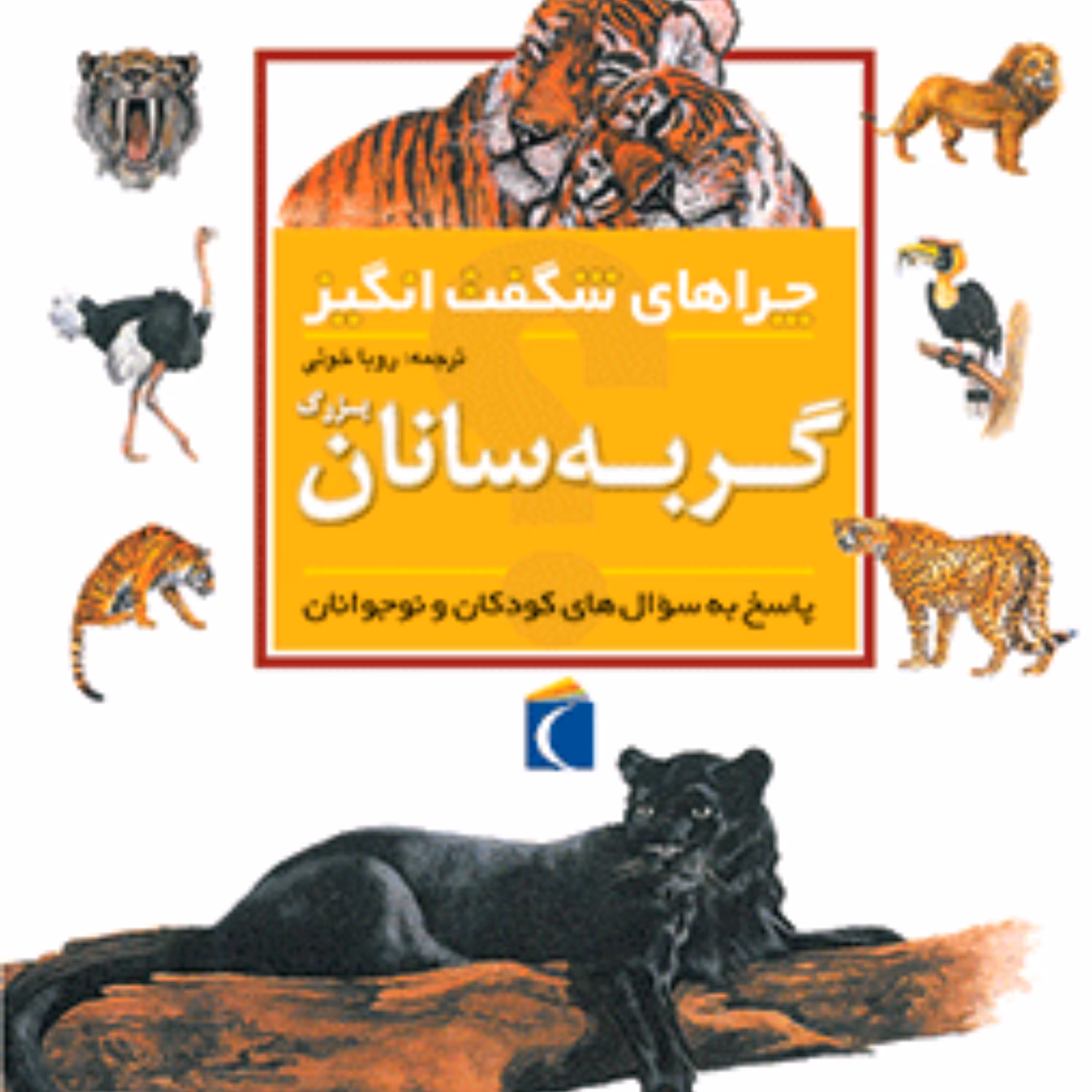 چراهای شگفت انگیز گربه سانان