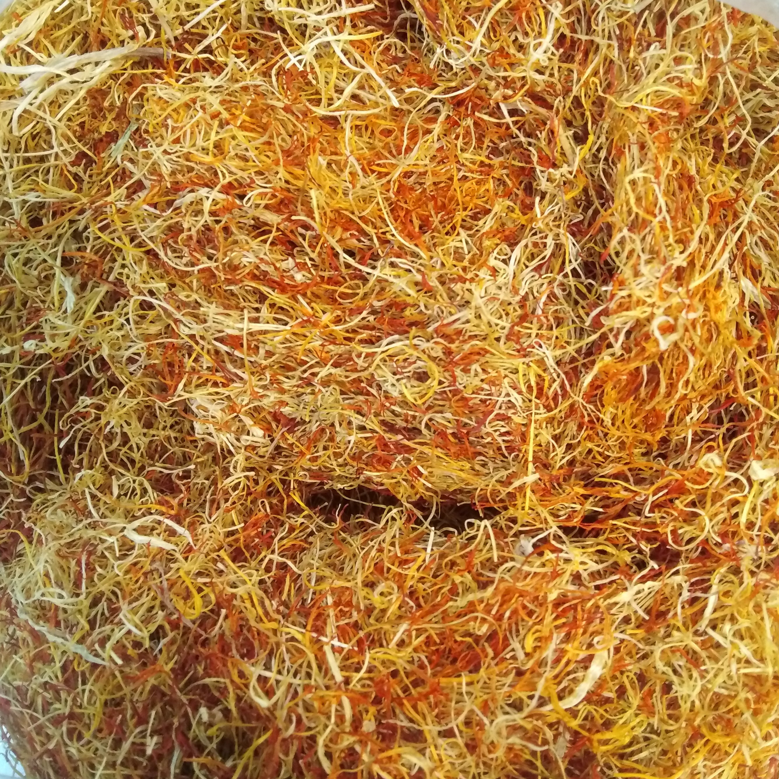 ریشه سفید زعفران
