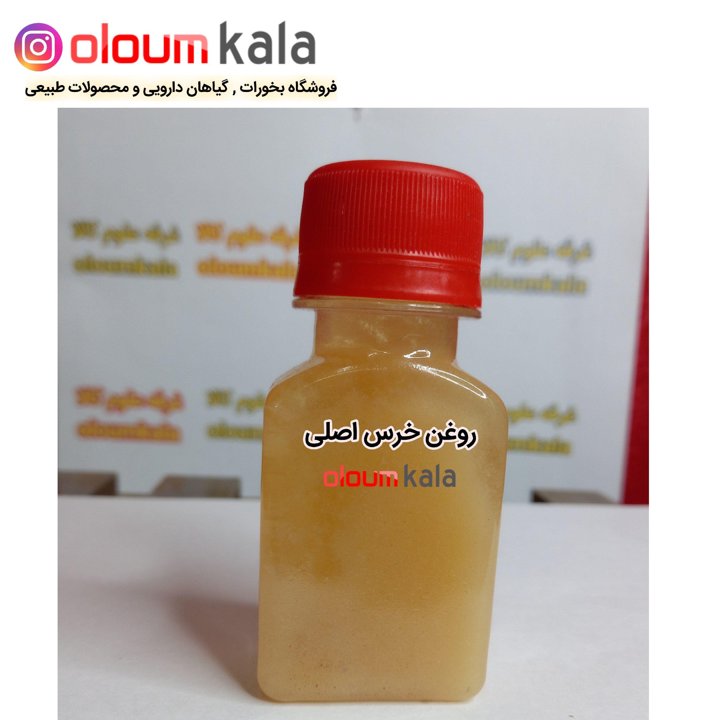 روغن خرس اصلی (20گرمی)
