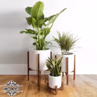 استند گلدان تمام چوب ضد آب و پوسیدگی (ارسال رایگان)