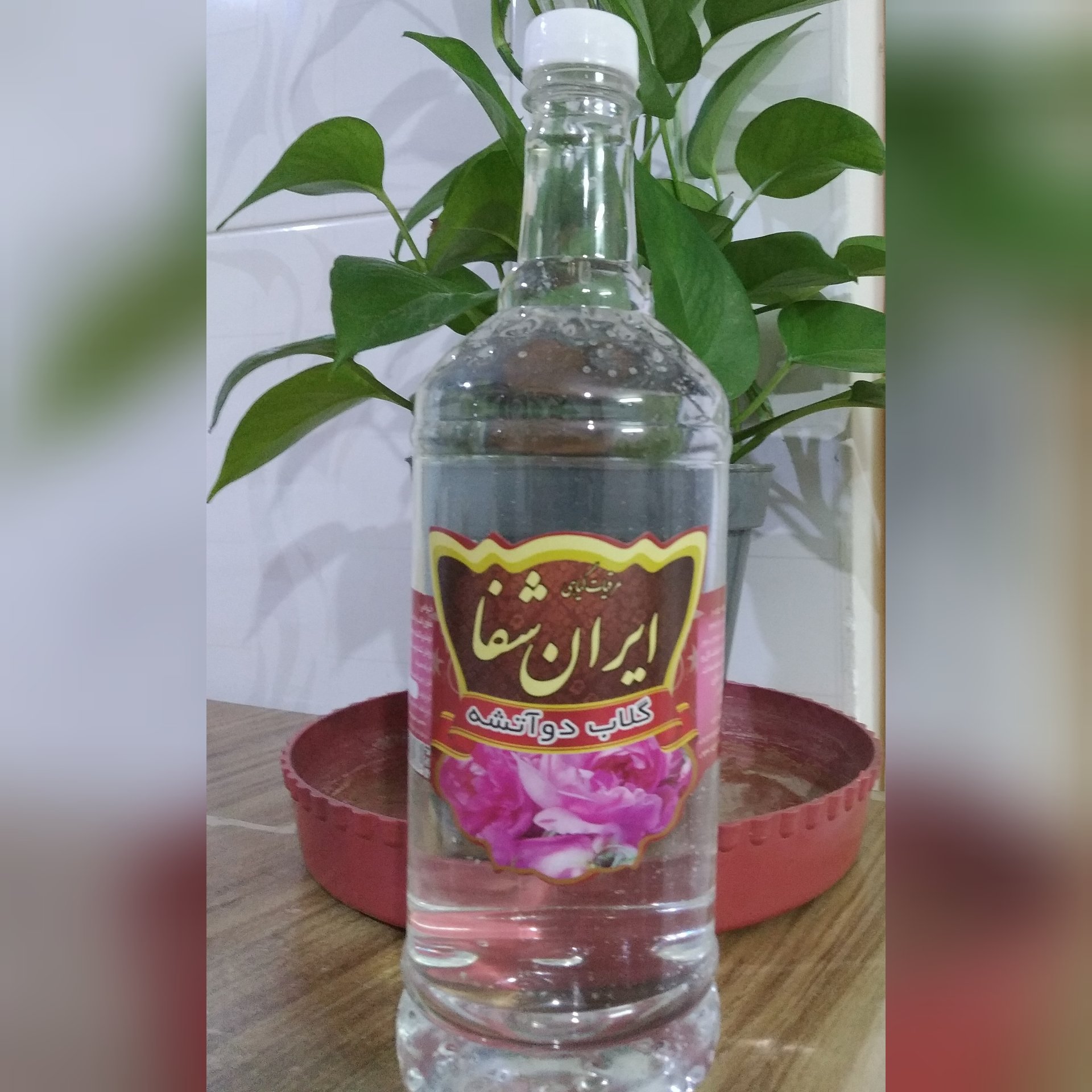 گلاب دو آتشه