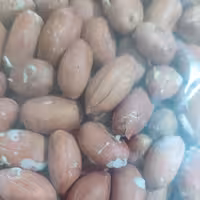 بادام زمینی(500گرم)
دربسته های نیم کیلویی