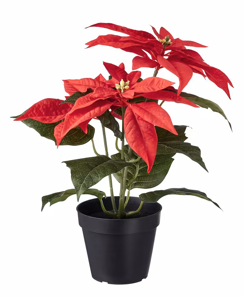 گلدان و گل مصنوعی قرمز دو شاخه برند ایکیا