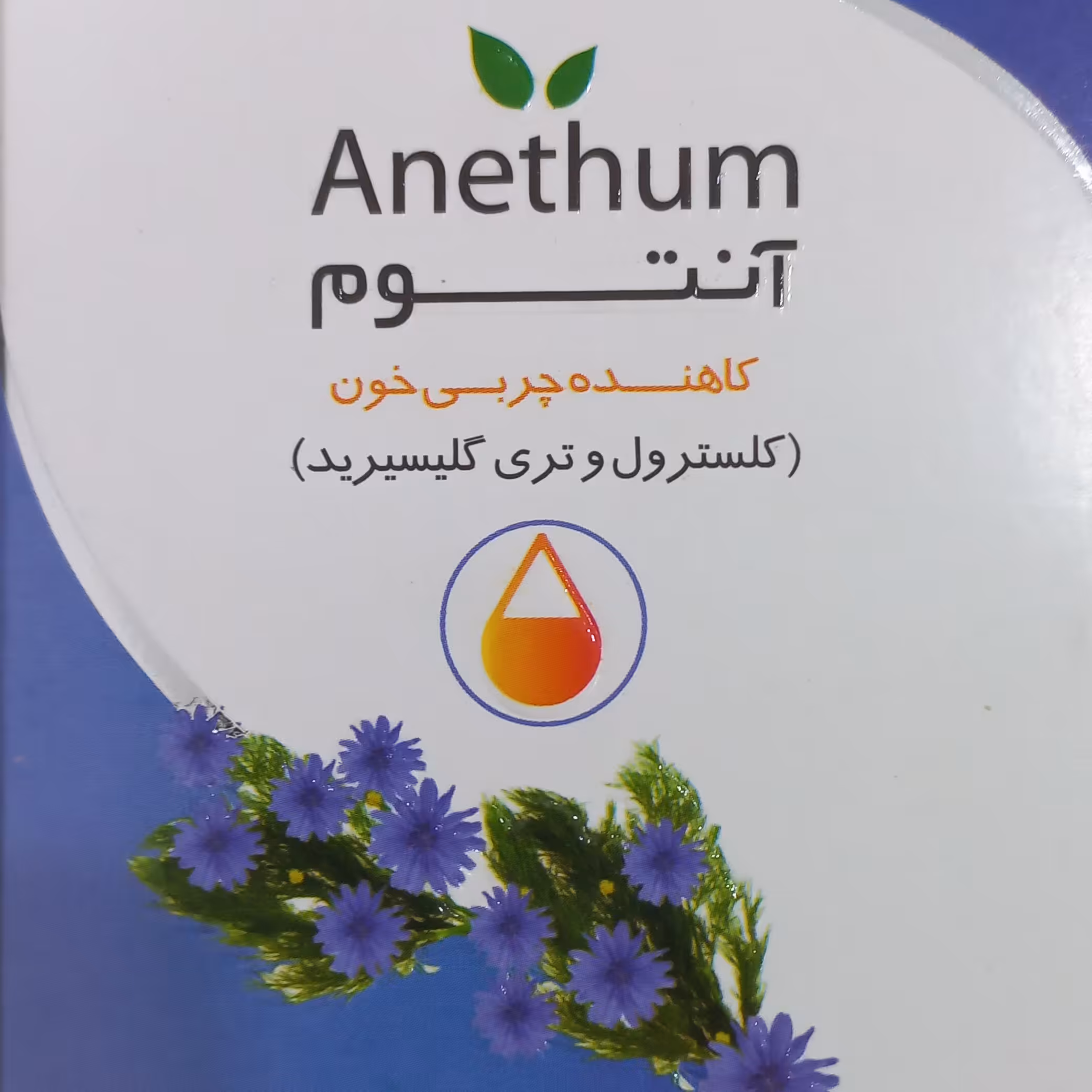 آنتوم (حب شوید)