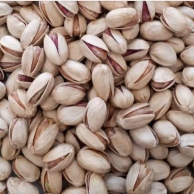 پسته خام (احمد آقایی)