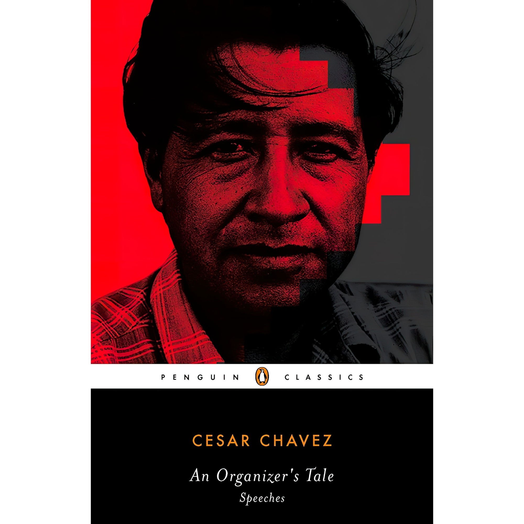 کتاب زبان اصلی An Organizers Tale اثر Cesar ChavezIlan Stavans