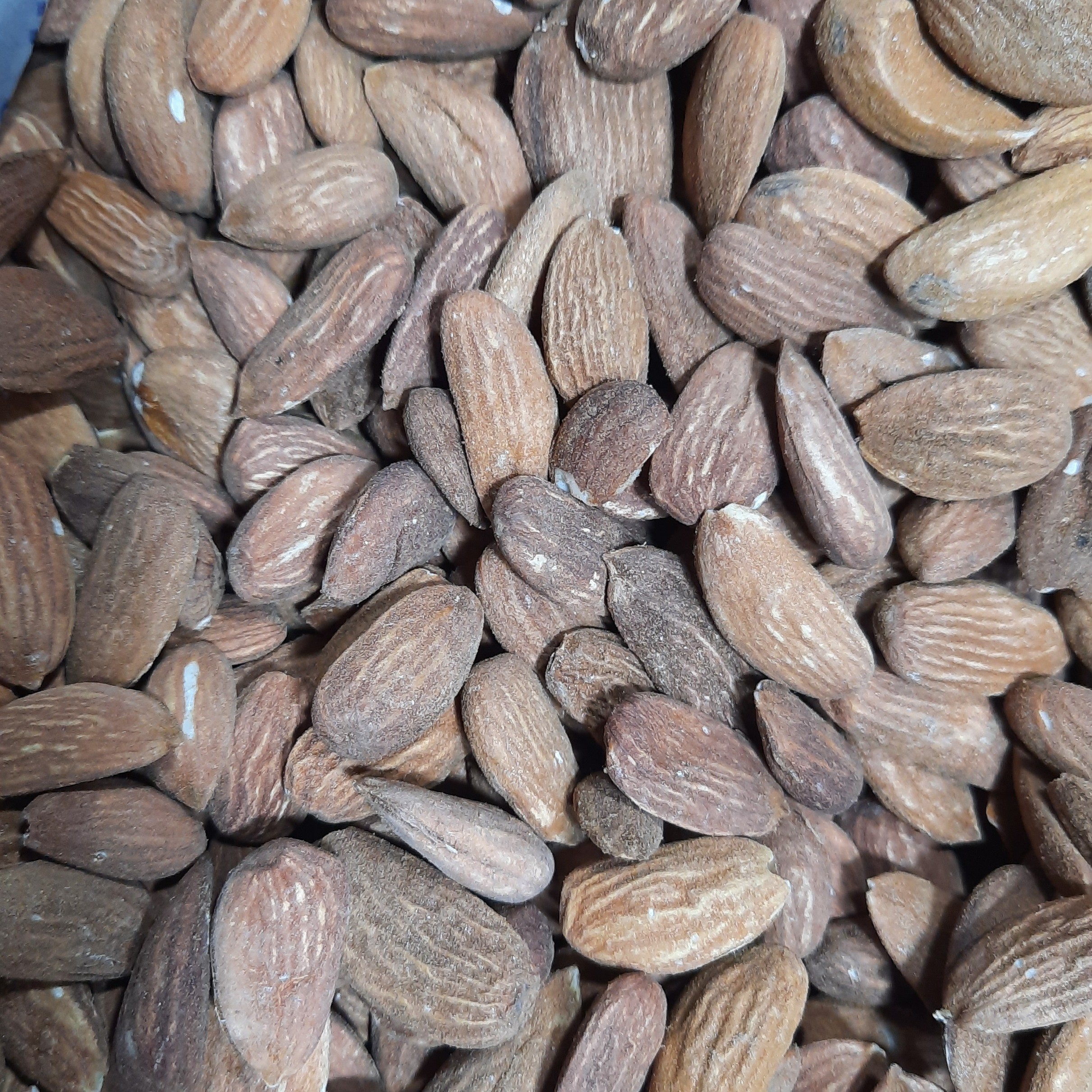مغز بادام درختی درشت آذربایجان 100درصد ارگانیک تازه خوشمزه