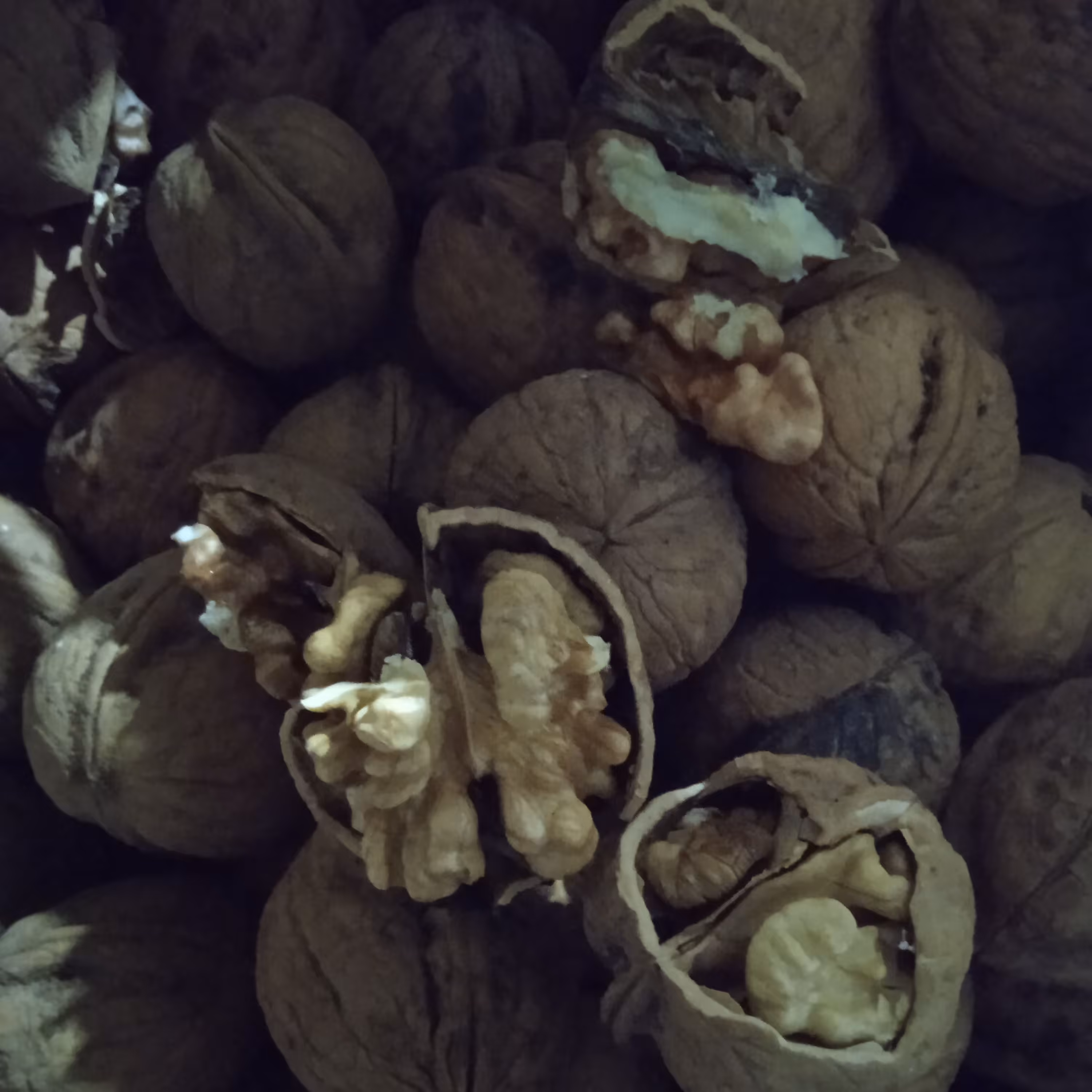 گردو خشک امساله چرب وکاغذی(1کیلو)