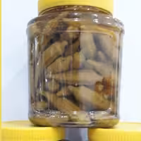 ترشی بامیه ریز