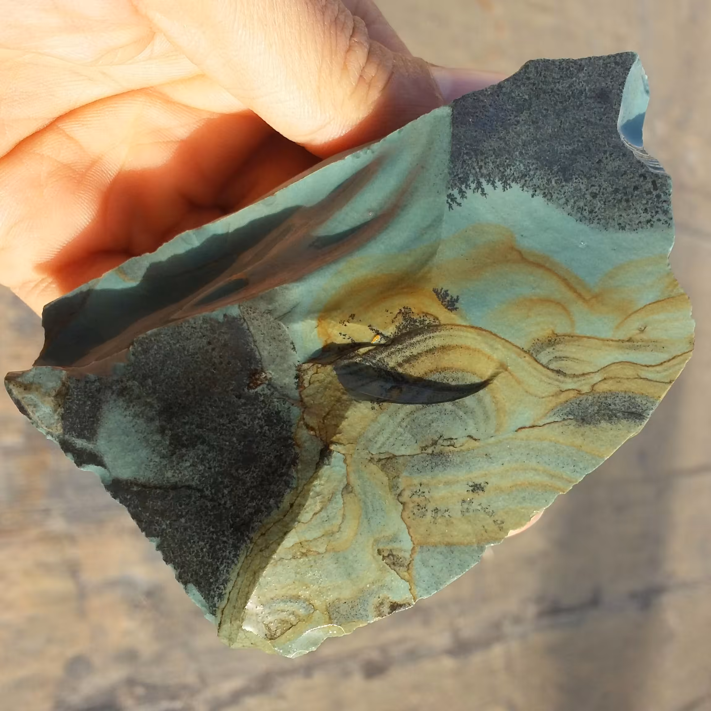 سنگ راف جاسپر منظره شجردار بسیار کمیاب صد در صد طبیعی شاهکار خلقت
تصویر از دو طرف نمونه
با قابلیت ساخت چند نگین کد 9013