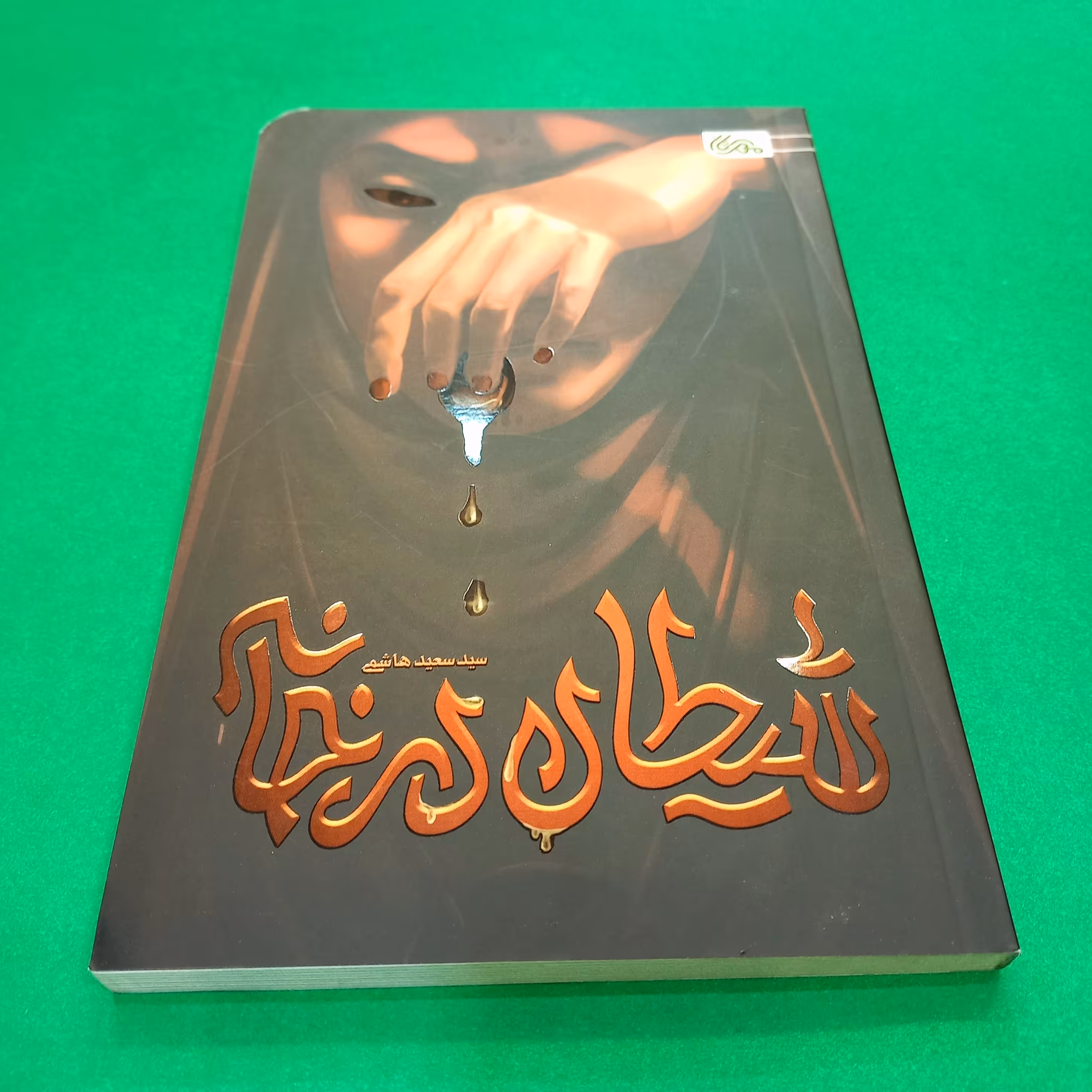 کتاب شیطان در خانه نوشته سید سعید هاشمی  انتشارات مهرستان