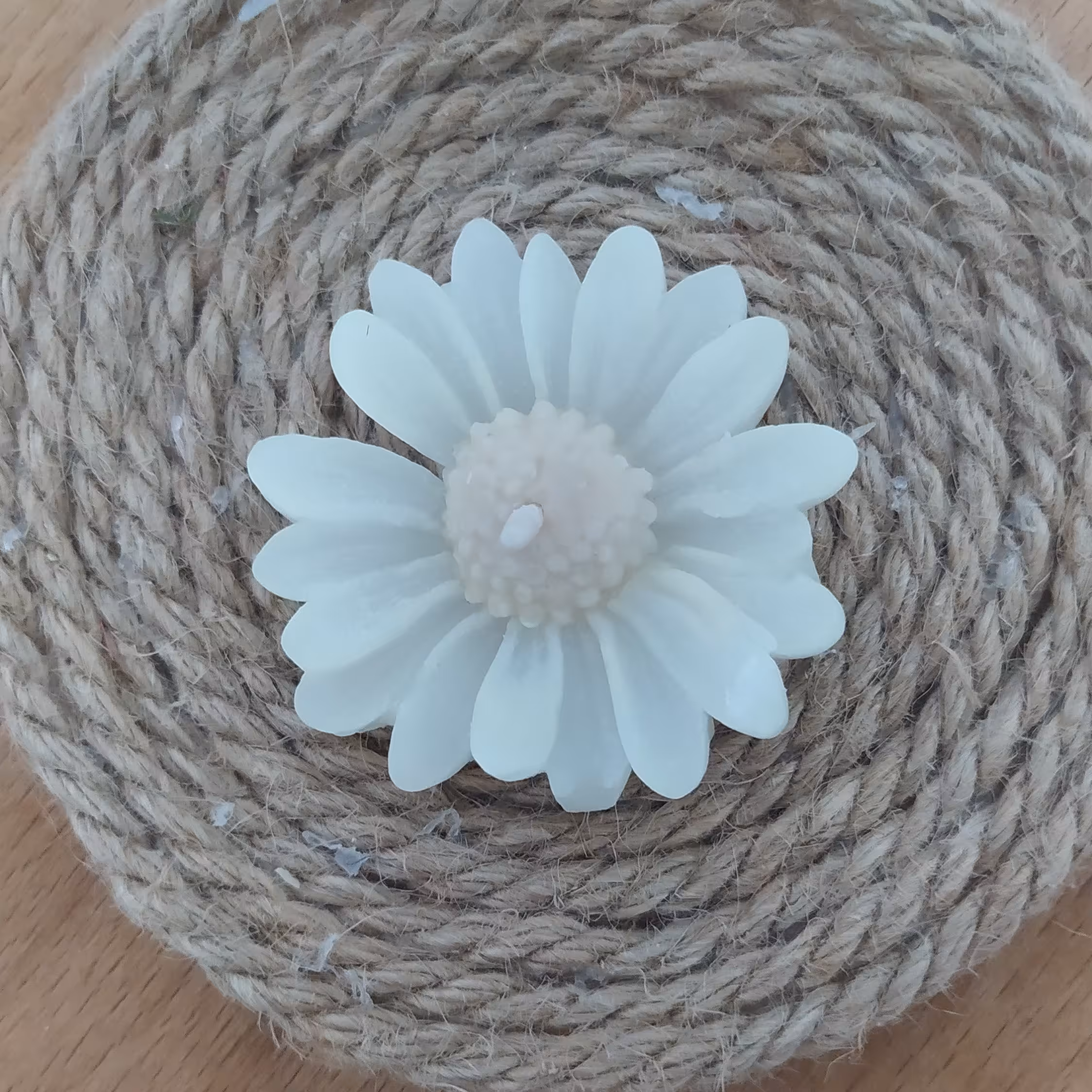 شمع گل بابونه 