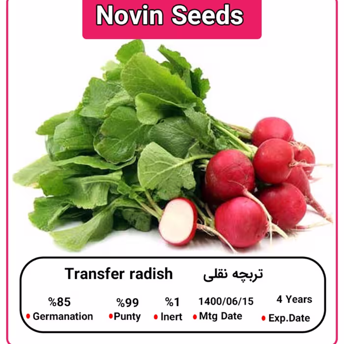 بذر تربچه نقلی