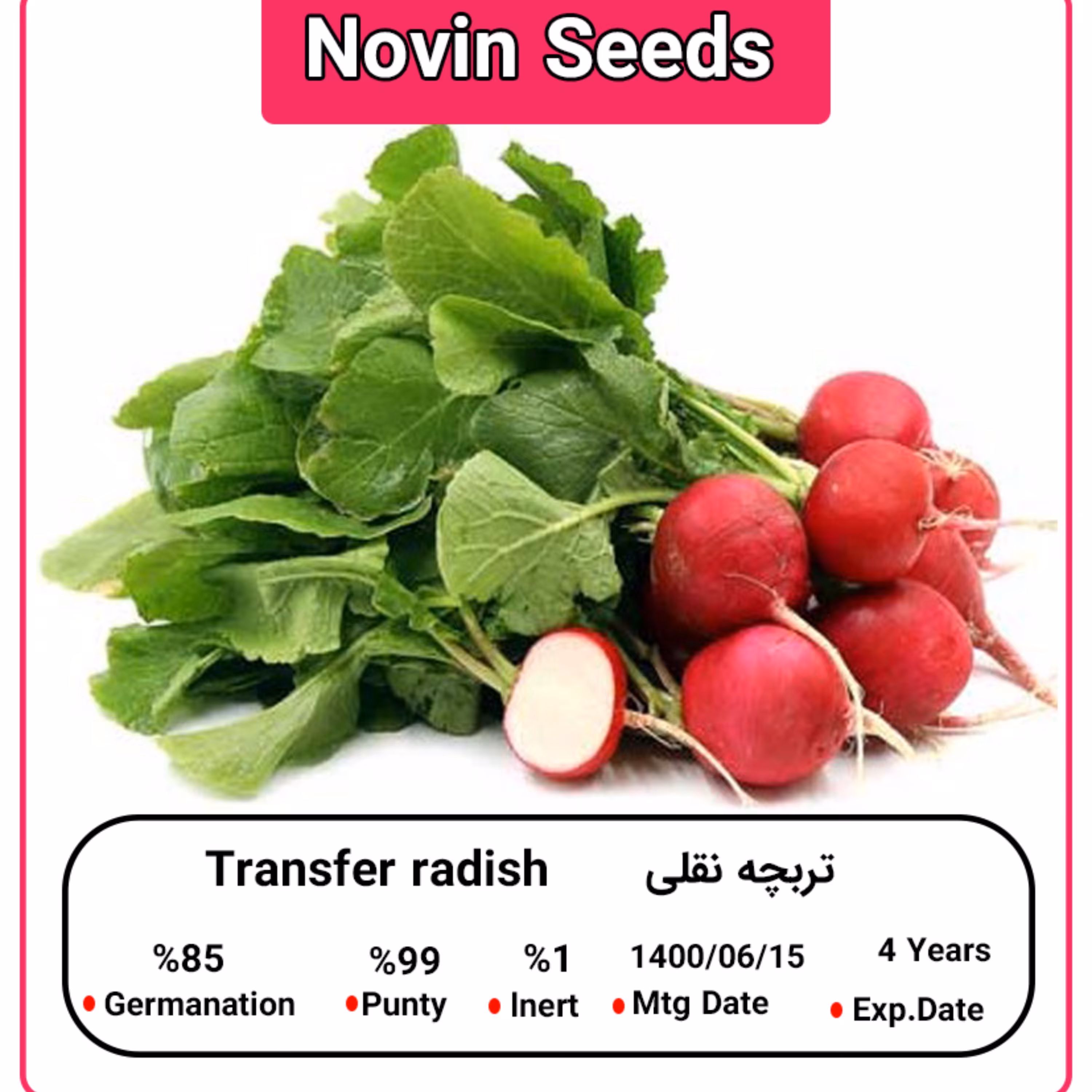 بذر تربچه نقلی
