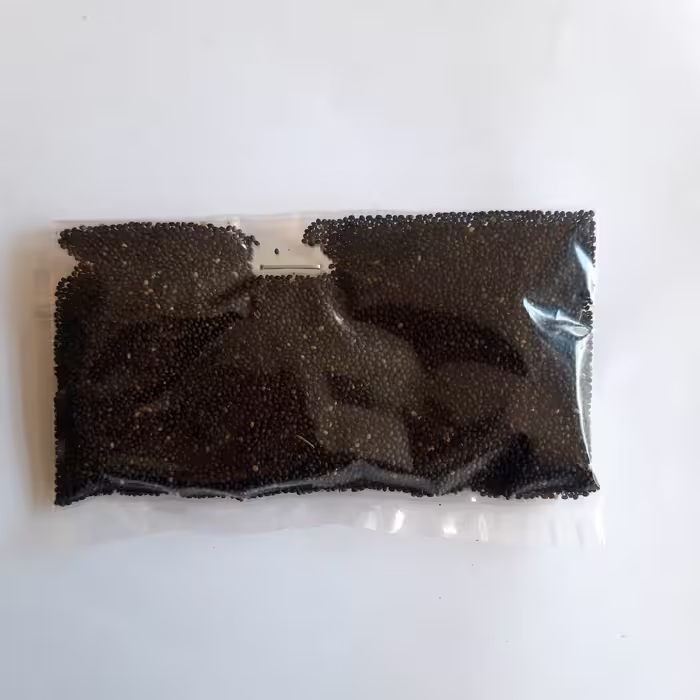 بذر مرزه فلفلک (50 گرم )