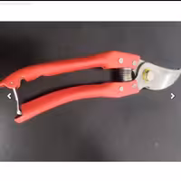 قیچی باغبانی Ruty... رنگهای مختلف