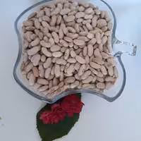 لوبیا کرم (کشاورزی)امسالی( 2.7کیلو گرم)