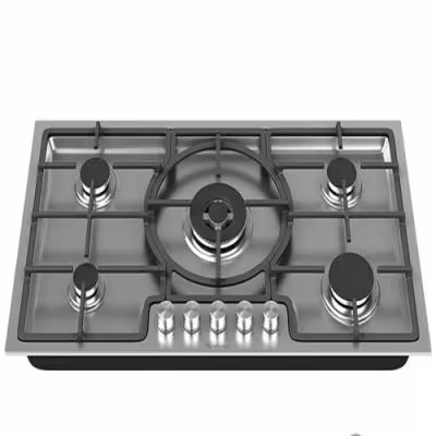 گاز صفحه ای مدل DS 534 داتیس