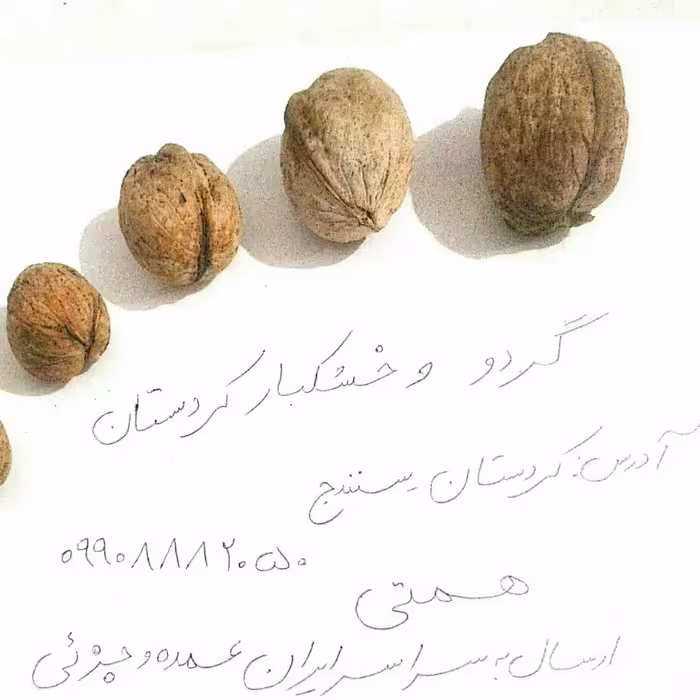 گردو سایز ریز و مغز سفید درجه یک  کردستان ارسال به  سراسر ایران