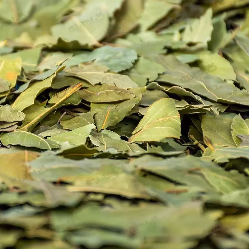 برگ بو اعلا (10کیلویی)