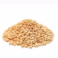 گندم مخصوص حلیم  چهارمحال و بختیاری (1000گرمی)