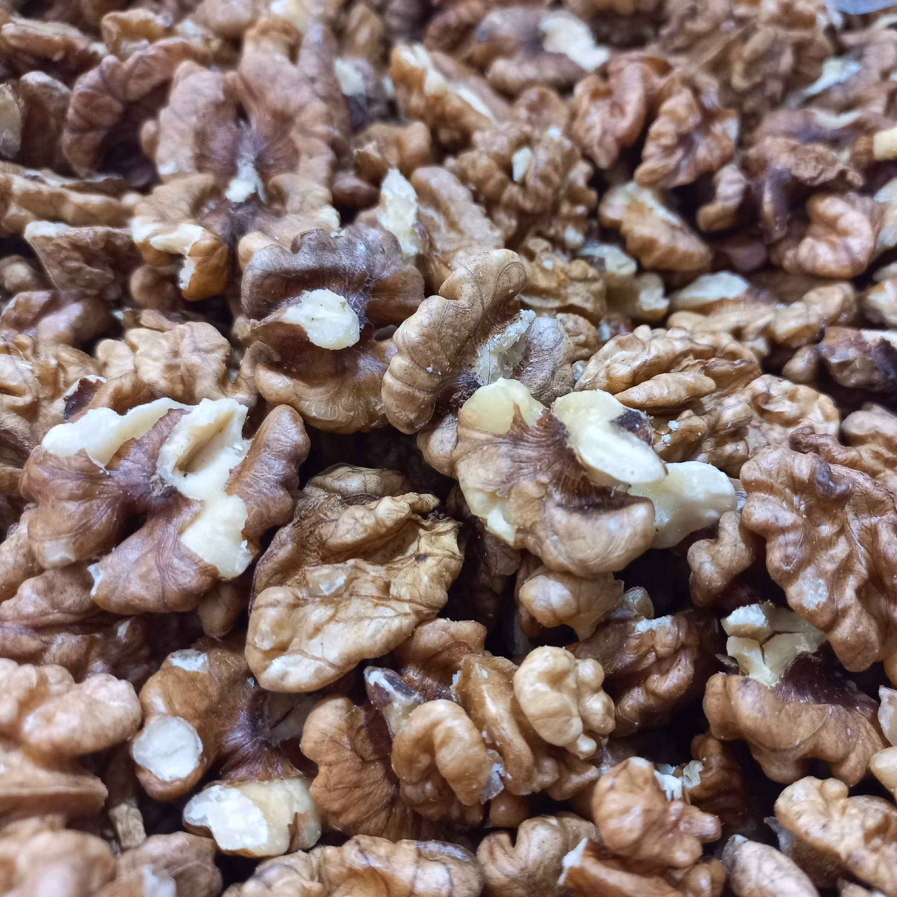 مغز گردو آذربایجان با چربی فراوان 