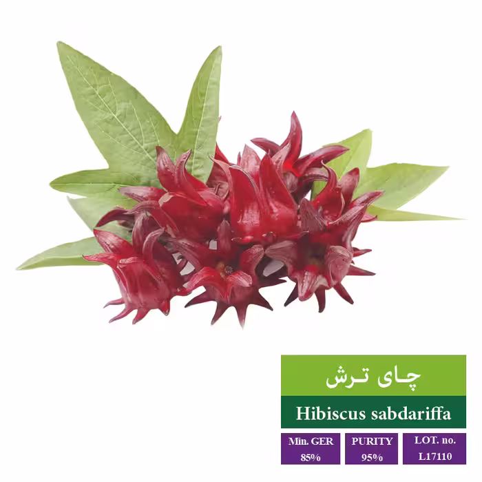 بذر چای ترش - بذر طلایی رویان