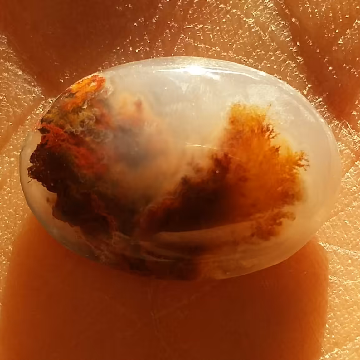 نگین عقیق شجر واضح بی نظیر شاهکار خلقت محشر تکرار نشدنی