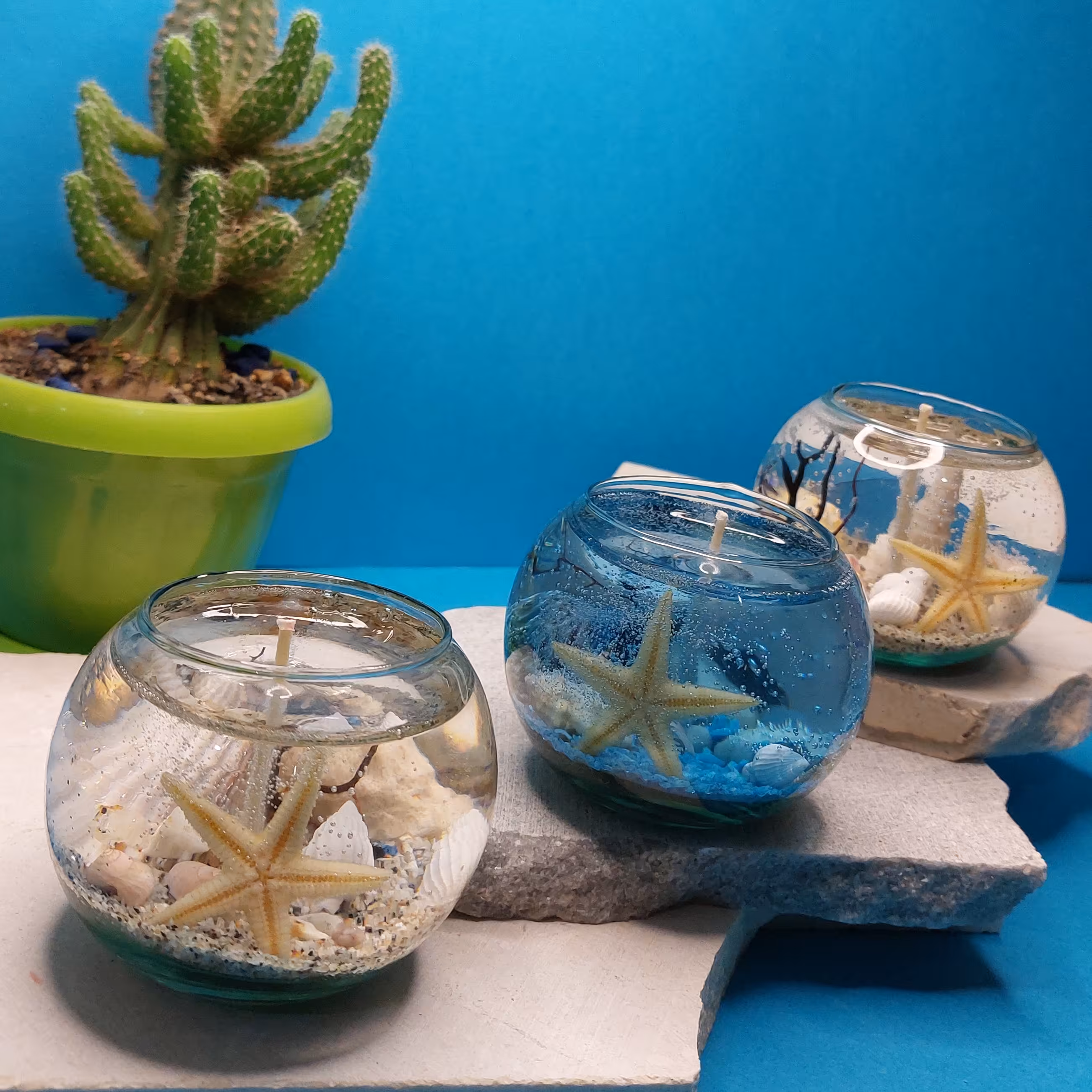 شمع  تنگ اقیانوسی