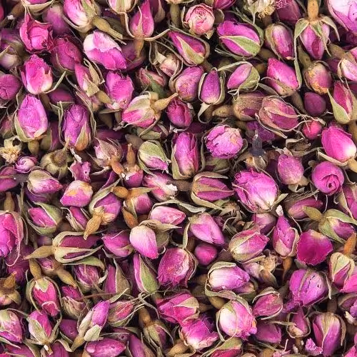 غنچه و برگ گل محمدی