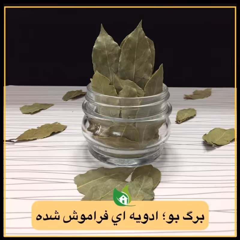 برگ بو   درجه یک   50 گرمی 