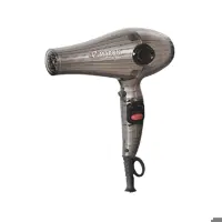 سشوار لوکس حرفه ای پرومارون مدل RL-8804