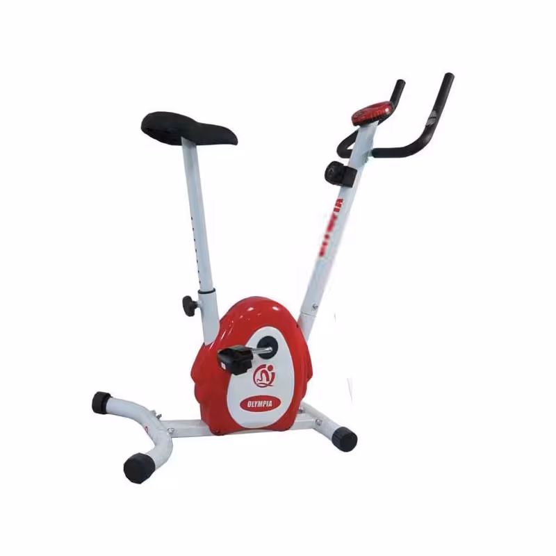 دوچرخه ثابت مگنتی المپیا  CR-7011