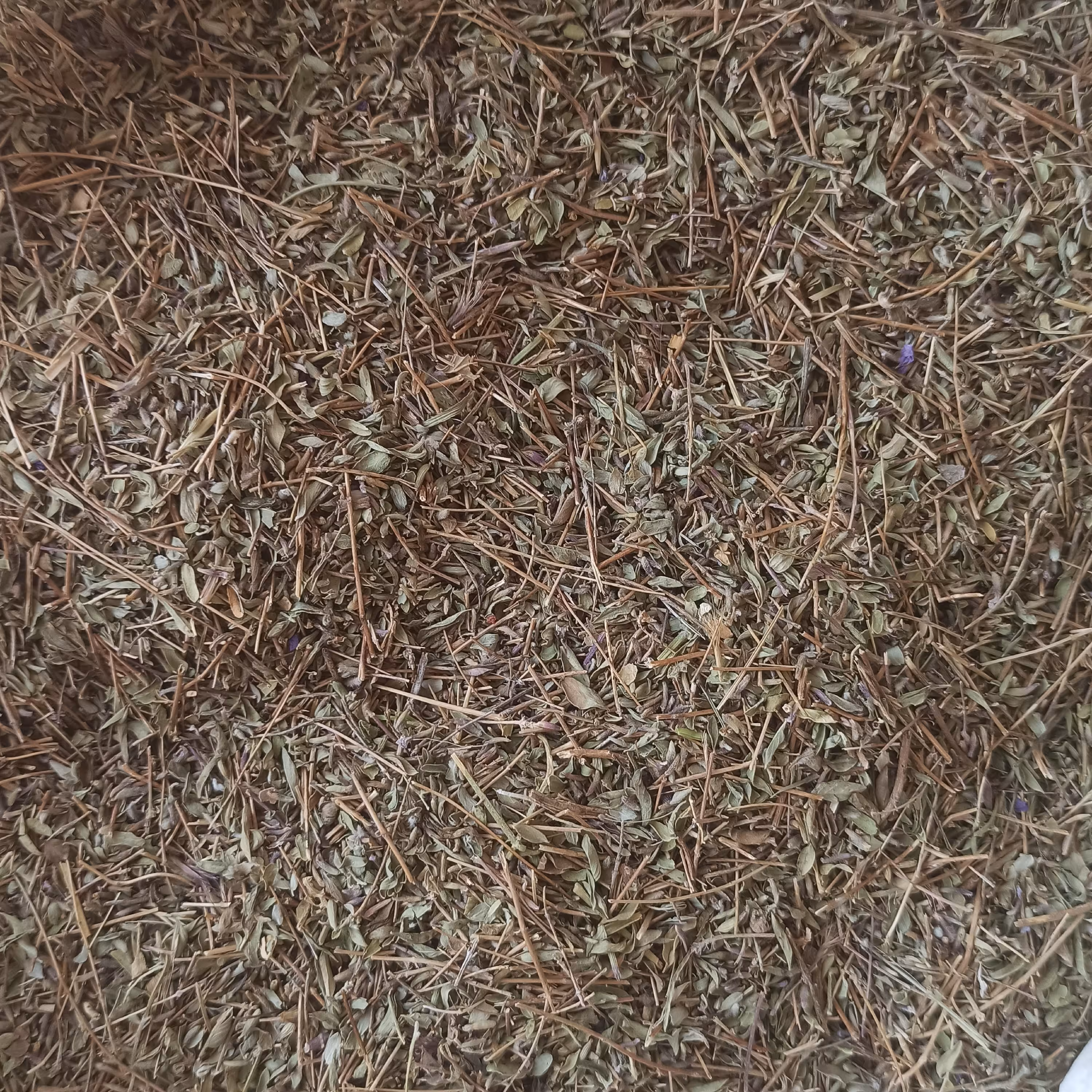 آویشن کوهی 50 گرمی (تضمین کیفیت)