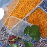 پیازداغ طلایی