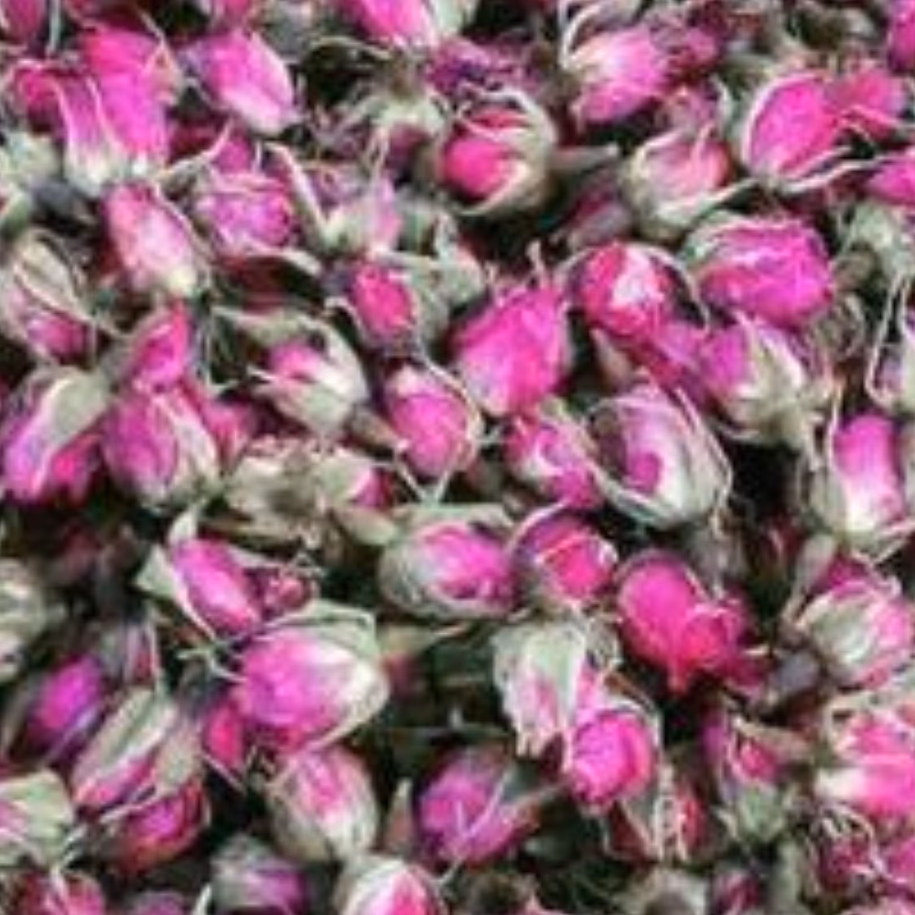 غنچه گل محمدی اعلا 100 گرم