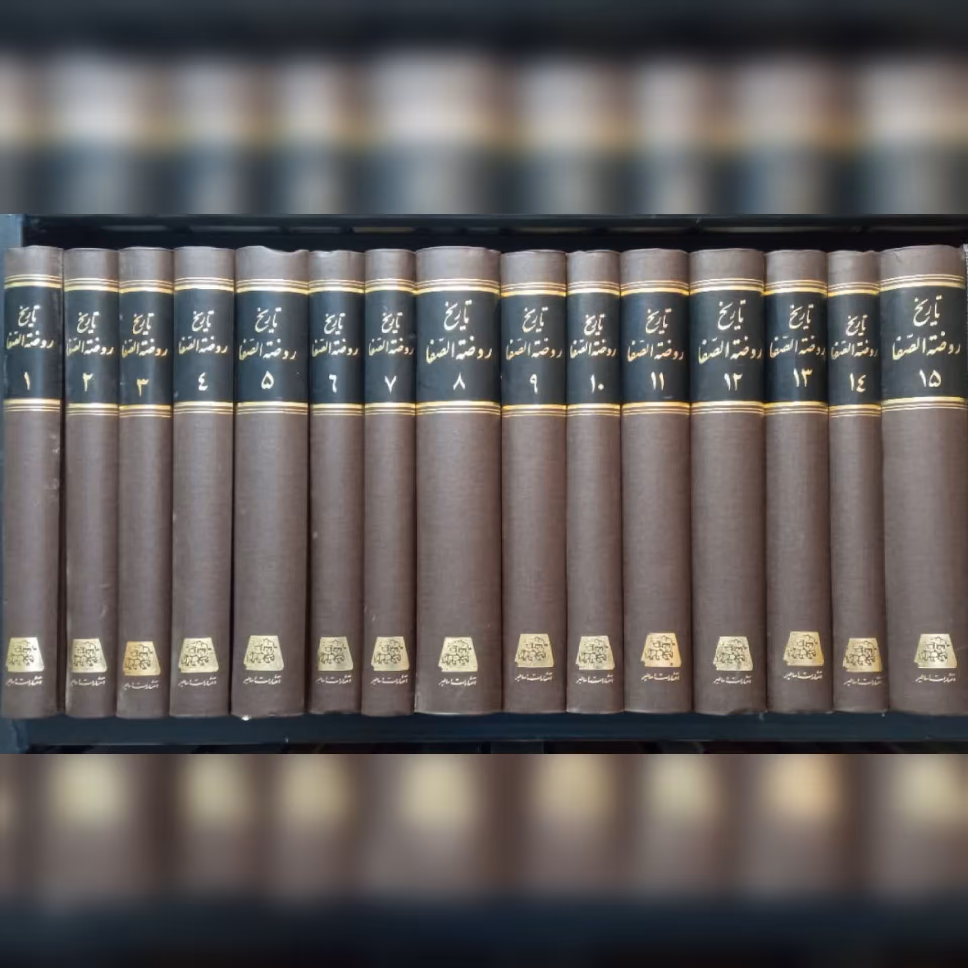 تاریخ روضه الصفای ناصری