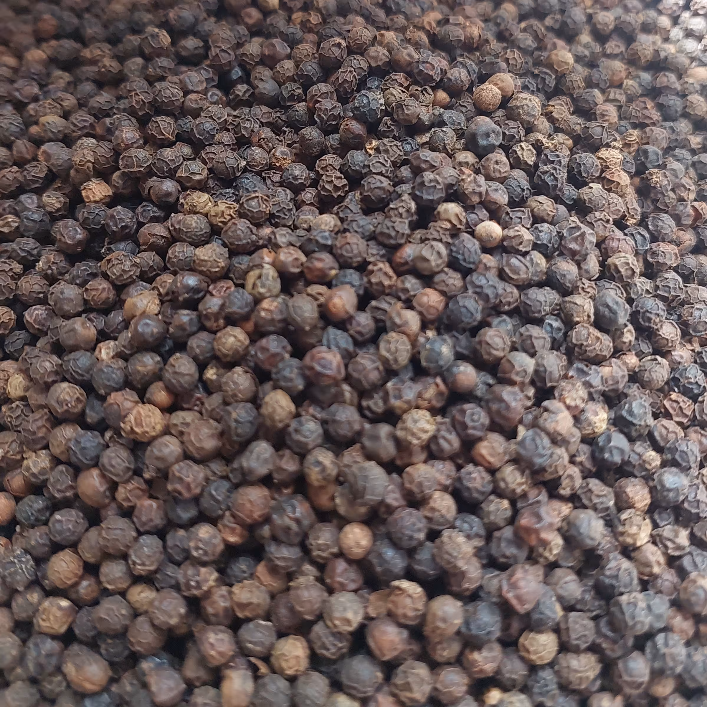 فلفل سیاه دونه ای 